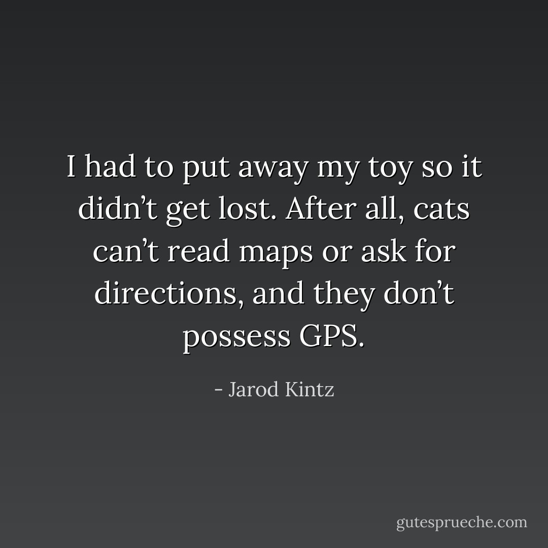 I had to put away my toy so it didn’t get lost. After all, cats can’t read maps or ask for directions, and they don’t possess GPS. - Jarod Kintz
