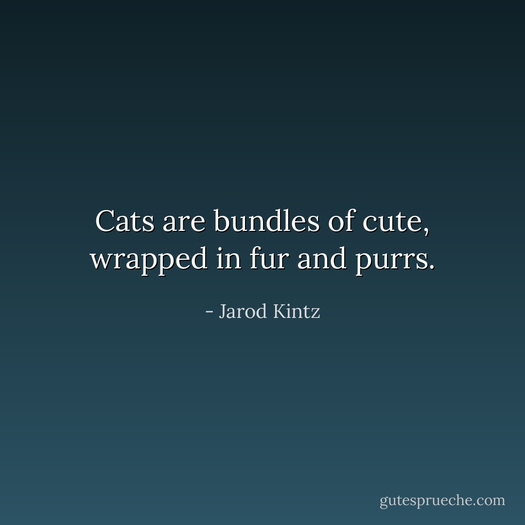 Cats are bundles of cute, wrapped in fur and purrs. - Jarod Kintz