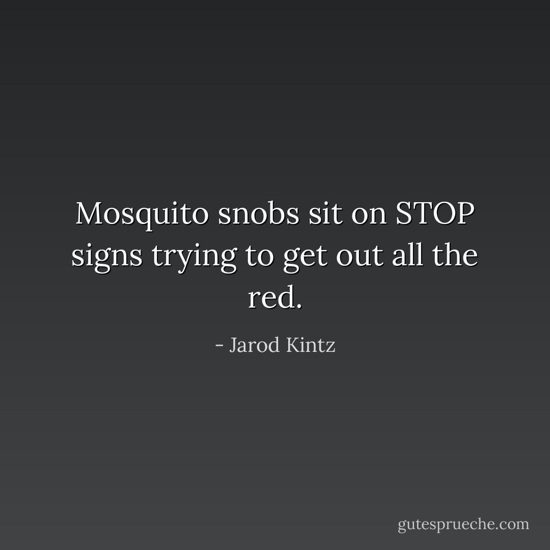 Mosquito snobs sit on STOP signs trying to get out all the red. - Jarod Kintz