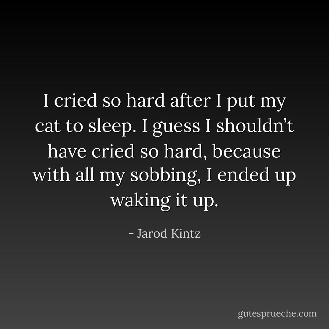 I cried so hard after I put my cat to sleep. I guess I shouldn’t have cried so hard, because with all my sobbing, I ended up waking it up. - Jarod Kintz