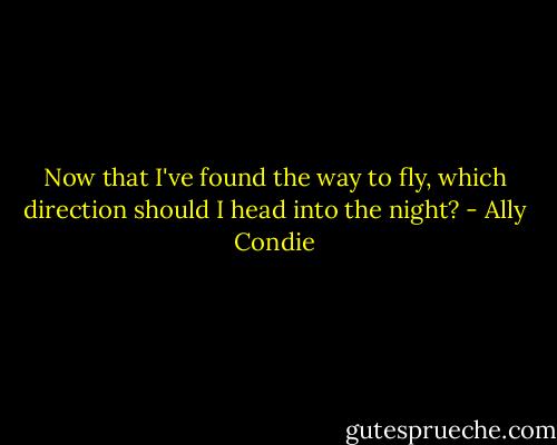 Now that I've found the way to fly, which direction should I head into the night? - Ally Condie