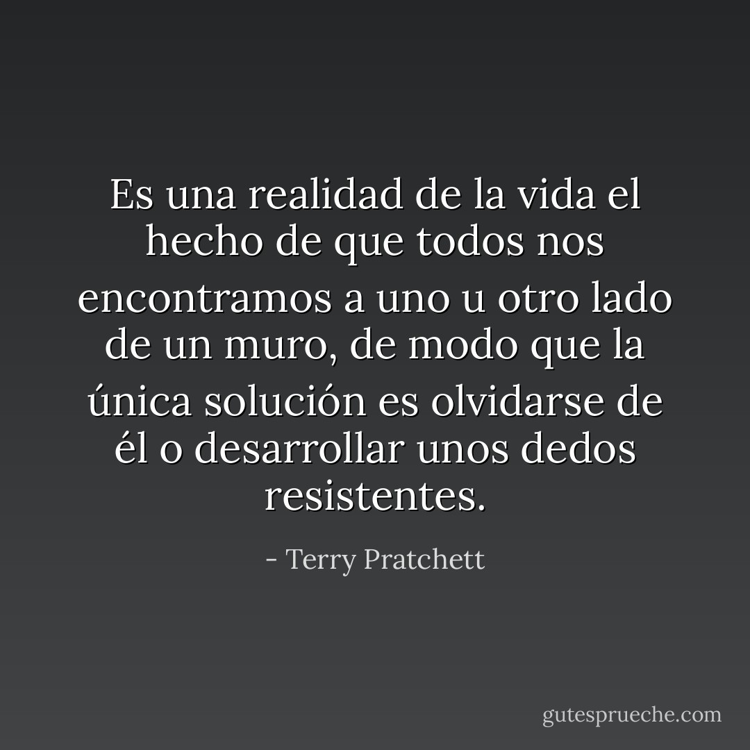 Es una realidad de la vida el hecho de que todos nos encontramos a uno u otro lado de un muro, de modo que la única solución es olvidarse de él o desarrollar unos dedos resistentes. - Terry Pratchett