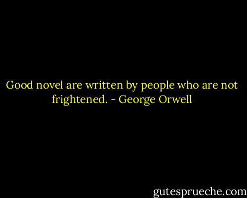 Good novel are written by people who are not frightened. - George Orwell