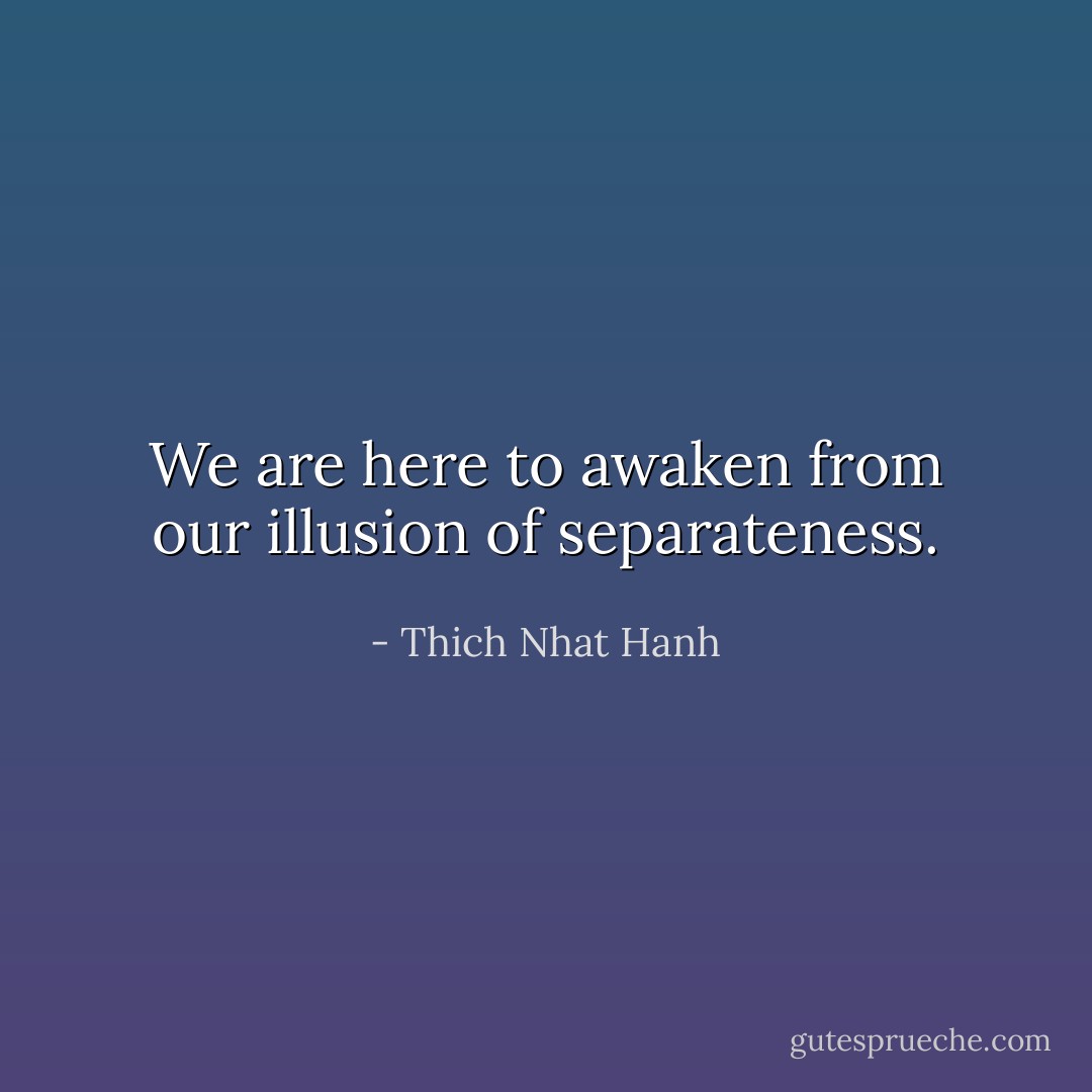 We are here to awaken from our illusion of separateness. - Thich Nhat Hanh