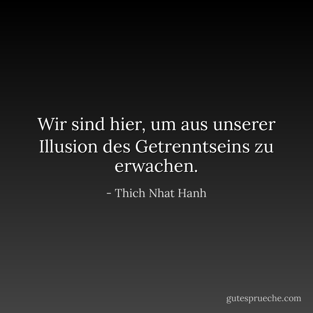 Wir sind hier, um aus unserer Illusion des Getrenntseins zu erwachen. - Thich Nhat Hanh<