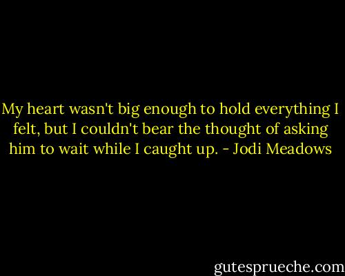 My heart wasn't big enough to hold everything I felt, but I couldn't bear the thought of asking him to wait while I caught up. - Jodi Meadows