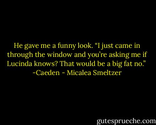He gave me a funny look. “I just came in through the window and you’re asking me if Lucinda knows? That would be a big fat no.” <br />-Caeden - Micalea Smeltzer