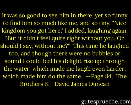 It was so good to see him in there, yet so funny to find him so much like me, and so tiny. "Nice kingdom you got here," I added, laughing again. "But it didn't feel quite right without you. Or should I say, without me?"<br /><br />This time he laughed too, and though there were no bubbles or sound I could feel his delight rise up through the water: which made me laugh even harder: which made him do the same.<br /><br />--Page 84, "The Brothers K - David James Duncan