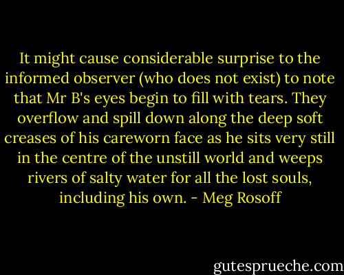 It might cause considerable surprise to the informed observer (who does not exist) to note that Mr B's eyes begin to fill with tears. They overflow and spill down along the deep soft creases of his careworn face as he sits very still in the centre of the unstill world and weeps rivers of salty water for all the lost souls, including his own. - Meg Rosoff