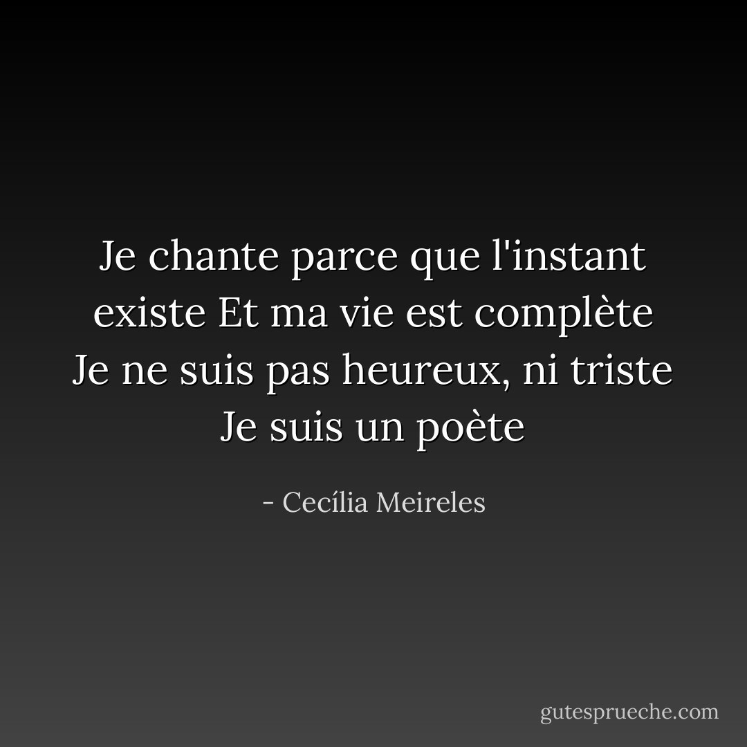 Je chante parce que l'instant existe<br />Et ma vie est complète<br />Je ne suis pas heureux, ni triste<br />Je suis un poète - Cecília Meireles
