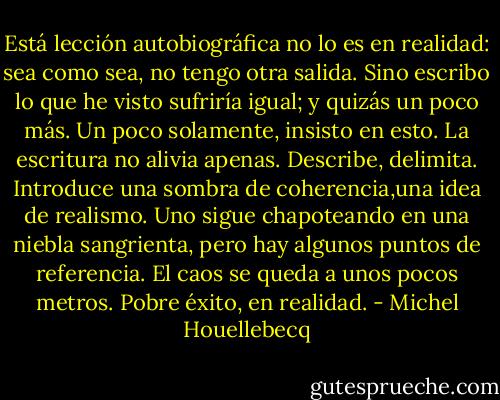 Está lección autobiográfica no lo es en realidad: sea como sea, no tengo otra salida. Sino escribo lo que he visto sufriría igual; y quizás un poco más. Un poco solamente, insisto en esto. La escritura no alivia apenas. Describe, delimita. Introduce una sombra de coherencia,una idea de realismo. Uno sigue chapoteando en una niebla sangrienta, pero hay algunos puntos de referencia. El caos se queda a unos pocos metros. Pobre éxito, en realidad. - Michel Houellebecq