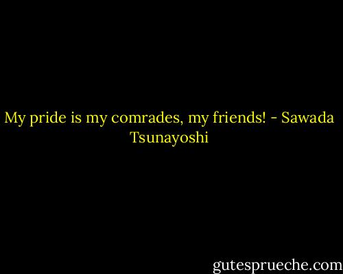 My pride is my comrades, my friends! - Sawada Tsunayoshi