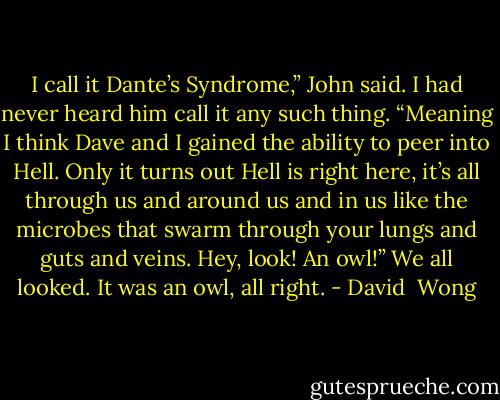 I call it Dante’s Syndrome,” John said. I had never heard him call it any such thing.<br />“Meaning I think Dave and I gained the ability to peer into Hell. Only it turns out Hell is right<br />here, it’s all through us and around us and in us like the microbes that swarm through your<br />lungs and guts and veins. Hey, look! An owl!”<br />We all looked. It was an owl, all right. - David  Wong