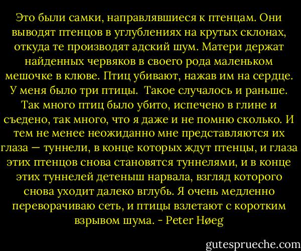 Это были самки, направлявшиеся к птенцам. Они выводят птенцов в углублениях на крутых склонах, откуда те производят адский шум. Матери держат найденных червяков в своего рода маленьком мешочке в клюве. Птиц убивают, нажав им на сердце. У меня было три птицы.<br /><br />Такое случалось и раньше. Так много птиц было убито, испечено в глине и съедено, так много, что я даже и не помню сколько. И тем не менее неожиданно мне представляются их глаза — туннели, в конце которых ждут птенцы, и глаза этих птенцов снова становятся туннелями, и в конце этих туннелей детеныш нарвала, взгляд которого снова уходит далеко вглубь. Я очень медленно переворачиваю сеть, и птицы взлетают с коротким взрывом шума. - Peter Høeg