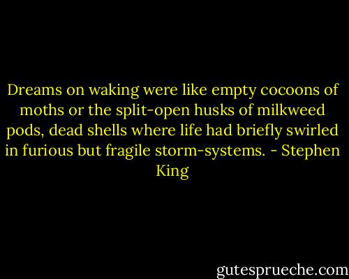 Dreams on waking were like empty cocoons of moths or the split-open husks of milkweed pods, dead shells where life had briefly swirled in furious but fragile storm-systems. - Stephen King