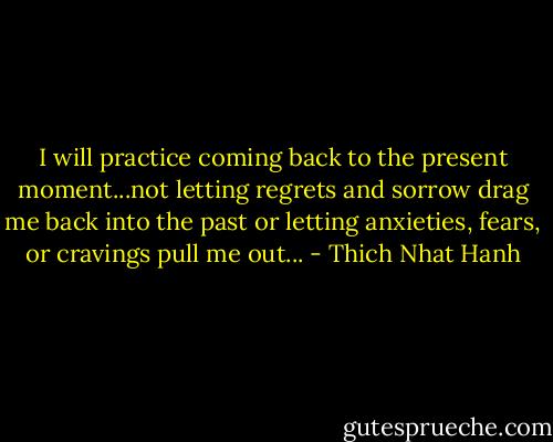 I will practice coming back to the present moment...not letting regrets and sorrow drag me back into the past or letting anxieties, fears, or cravings pull me out... - Thich Nhat Hanh