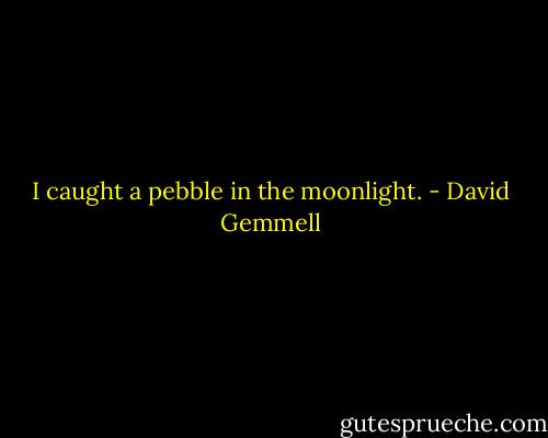 I caught a pebble in the moonlight. - David Gemmell