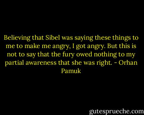 Believing that Sibel was saying these things to me to make me angry, I got angry. But this is not to say that the fury owed nothing to my partial awareness that she was right. - Orhan Pamuk