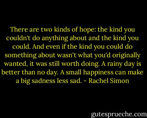 There are two kinds of hope: the kind you couldn't do anything about and the kind you could. And even if the kind you could do something about wasn't what you'd originally wanted, it was still worth doing. A rainy day is better than no day. A small happiness can make a big sadness less sad. - Rachel Simon