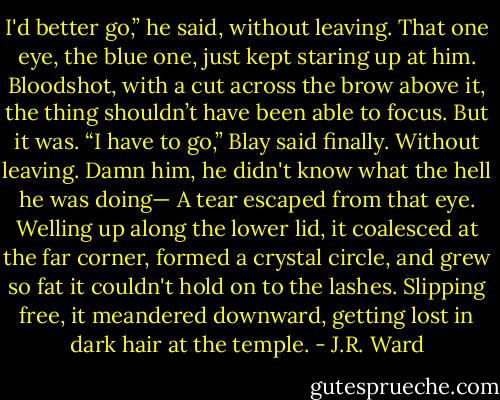 I'd better go,” he said, without leaving.<br />That one eye, the blue one, just kept staring up at him. Bloodshot, with a cut across the brow above it, the thing shouldn’t have been able to focus. But it was.<br />“I have to go,” Blay said finally.<br />Without leaving.<br />Damn him, he didn't know what the hell he was doing—<br />A tear escaped from that eye. Welling up along the lower lid, it coalesced at the far corner, formed a crystal circle, and grew so fat it couldn't hold on to the lashes. Slipping free, it meandered downward, getting lost in dark hair at the temple. - J.R. Ward