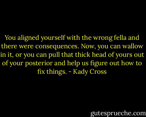 You aligned yourself with the wrong fella and there were consequences. Now, you can wallow in it, or you can pull that thick head of yours out of your posterior and help us figure out how to fix things. - Kady Cross