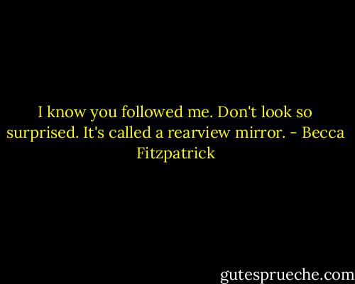 I know you followed me. Don't look so surprised. It's called a rearview mirror. - Becca Fitzpatrick