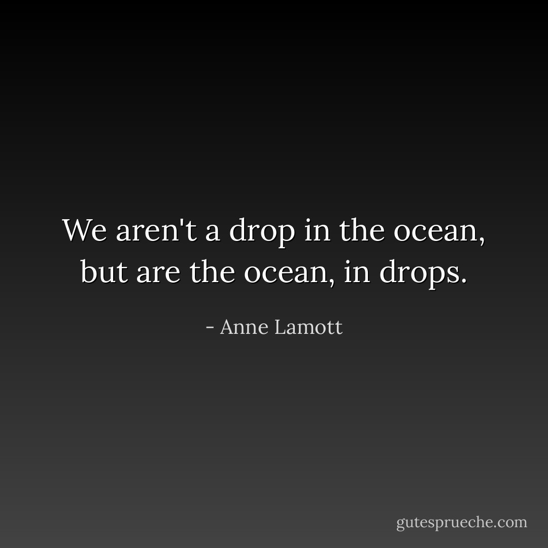 We aren't a drop in the ocean, but are the ocean, in drops. - Anne Lamott