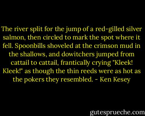 The river split for the jump of a red-gilled silver salmon, then circled to mark the spot where it fell. Spoonbills shoveled at the crimson mud in the shallows, and dowitchers jumped from cattail to cattail, frantically crying "Kleek! Kleek!" as though the thin reeds were as hot as the pokers they resembled. - Ken Kesey
