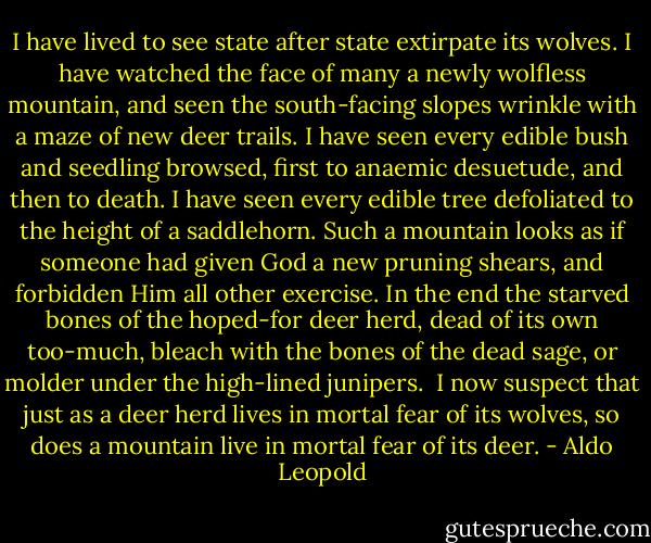 I have lived to see state after state extirpate its wolves. I have watched the face of many a newly wolfless mountain, and seen the south-facing slopes wrinkle with a maze of new deer trails. I have seen every edible bush and seedling browsed, first to anaemic desuetude, and then to death. I have seen every edible tree defoliated to the height of a saddlehorn. Such a mountain looks as if someone had given God a new pruning shears, and forbidden Him all other exercise. In the end the starved bones of the hoped-for deer herd, dead of its own too-much, bleach with the bones of the dead sage, or molder under the high-lined junipers. <br />I now suspect that just as a deer herd lives in mortal fear of its wolves, so does a mountain live in mortal fear of its deer. - Aldo Leopold