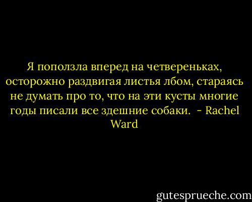 Я поползла вперед на четвереньках, осторожно раздвигая листья лбом, стараясь не думать про то, что на эти кусты многие годы писали все здешние собаки.  - Rachel Ward