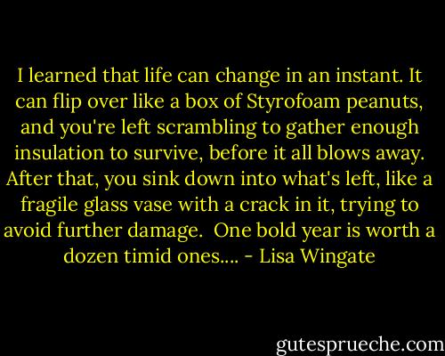 I learned that life can change in an instant. It can flip over like a box of Styrofoam peanuts, and you're left scrambling to gather enough insulation to survive, before it all blows away. After that, you sink down into what's left, like a fragile glass vase with a crack in it, trying to avoid further damage.<br /><br />One bold year is worth a dozen timid ones.... - Lisa Wingate