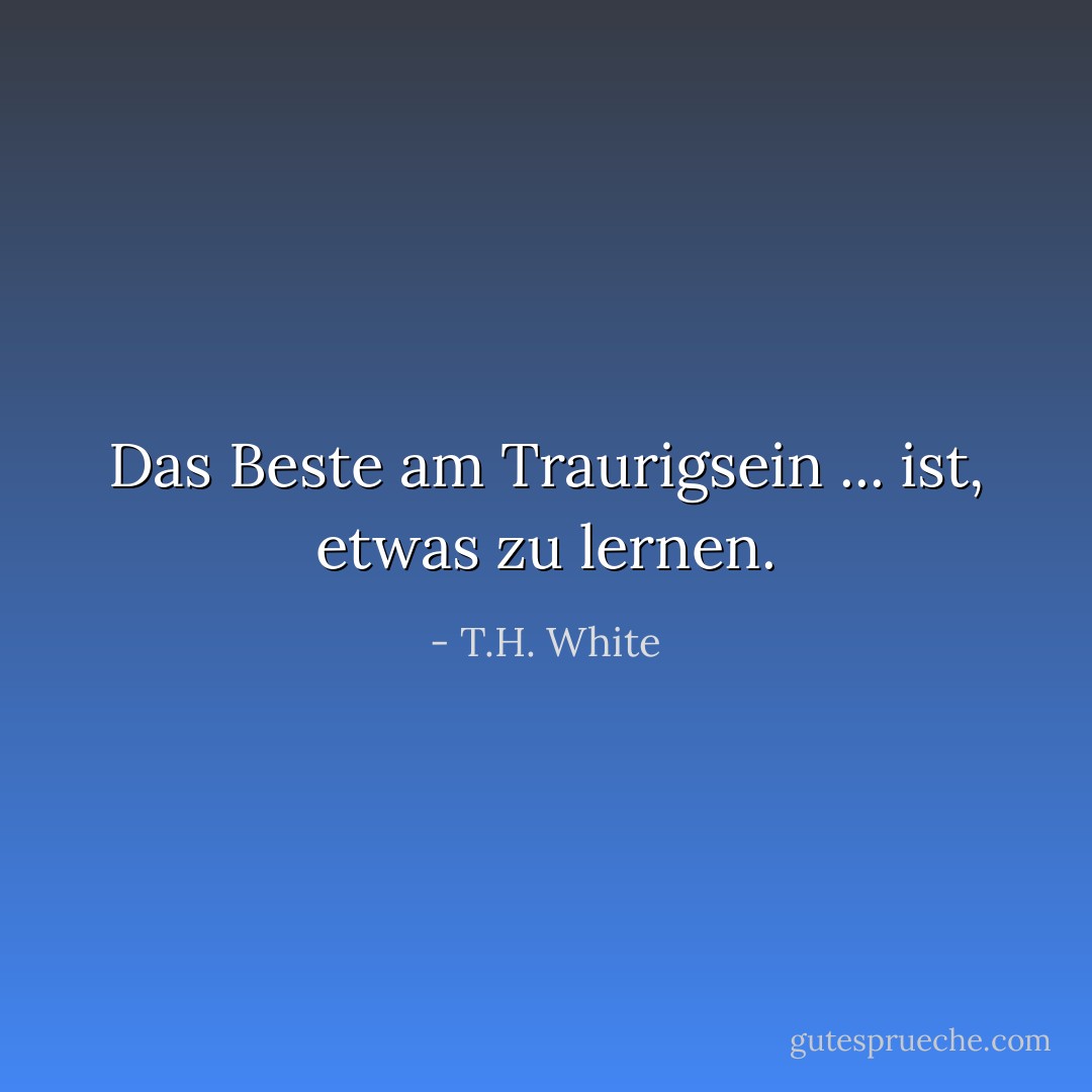 Das Beste am Traurigsein ... ist, etwas zu lernen. - T.H. White<
