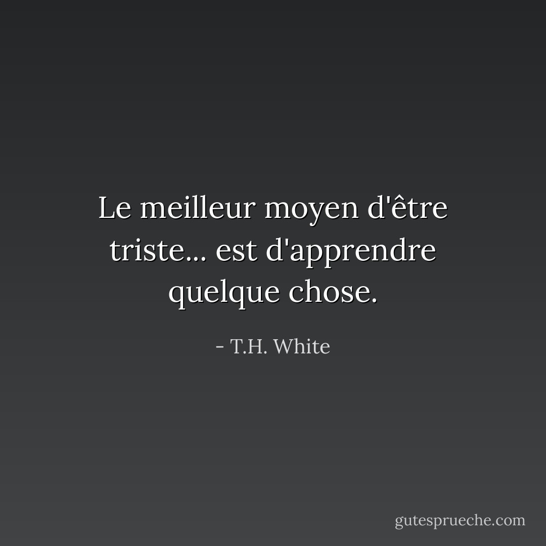 Le meilleur moyen d'être triste... est d'apprendre quelque chose. - T.H. White