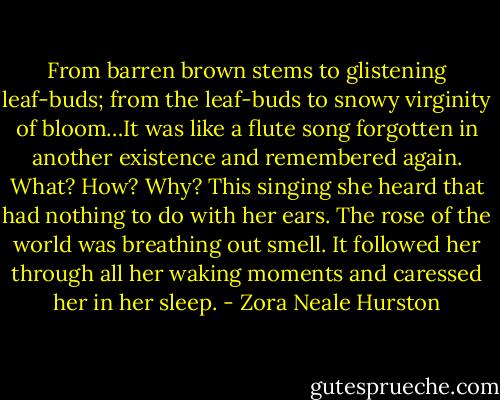 From barren brown stems to glistening leaf-buds; from the leaf-buds to snowy virginity of bloom…It was like a flute song forgotten in another existence and remembered again. What? How? Why? This singing she heard that had nothing to do with her ears. The rose of the world was breathing out smell. It followed her through all her waking moments and caressed her in her sleep. - Zora Neale Hurston