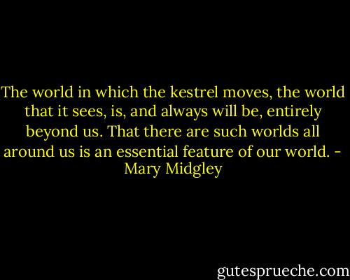 The world in which the kestrel moves, the world that it sees, is, and always will be, entirely beyond us. That there are such worlds all around us is an essential feature of our world. - Mary Midgley