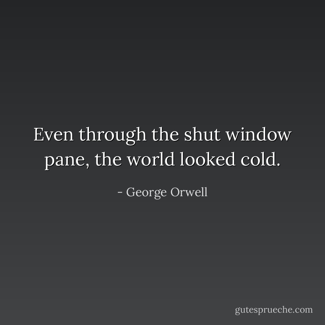 Even through the shut window pane, the world looked cold. - George Orwell