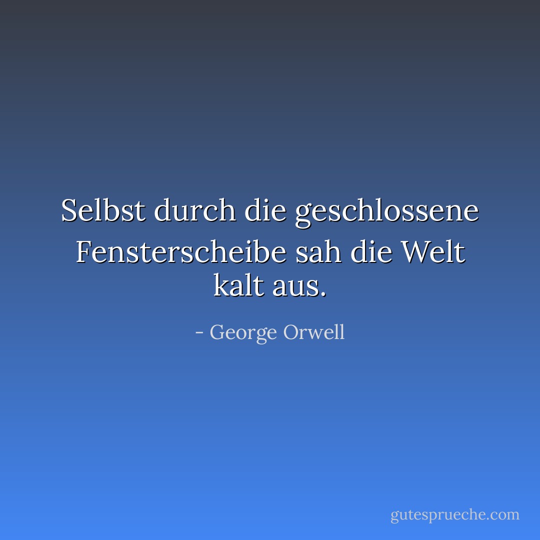 Selbst durch die geschlossene Fensterscheibe sah die Welt kalt aus. - George Orwell<