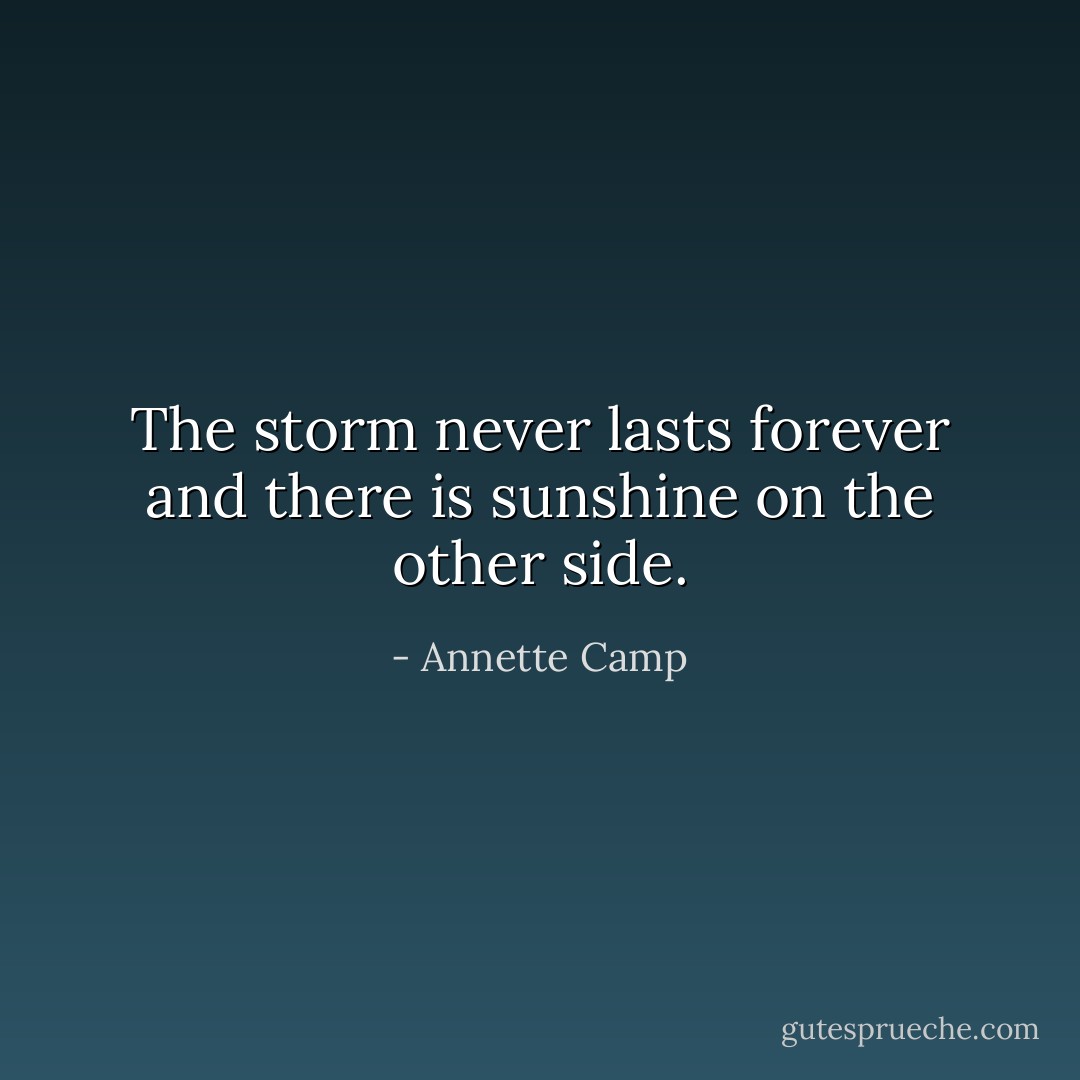 The storm never lasts forever and there is sunshine on the other side. - Annette Camp