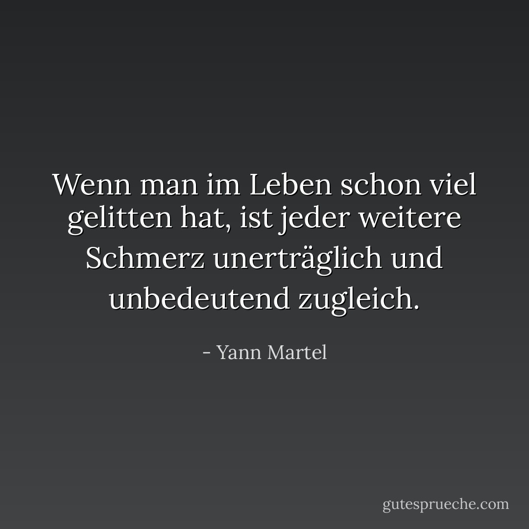 Wenn man im Leben schon viel gelitten hat, ist jeder weitere Schmerz unerträglich und unbedeutend zugleich. - Yann Martel<