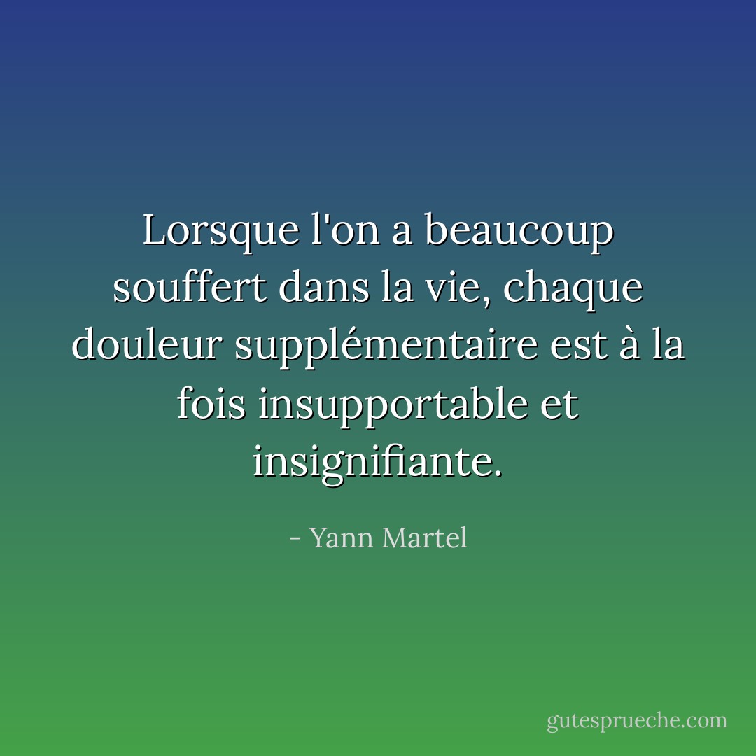 Lorsque l'on a beaucoup souffert dans la vie, chaque douleur supplémentaire est à la fois insupportable et insignifiante. - Yann Martel