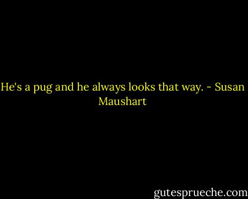 He's a pug and he always looks that way. - Susan Maushart