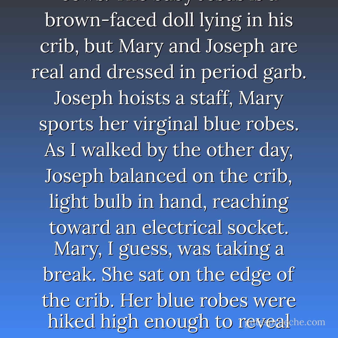In one corner of the square is a manger scene with two live sheep, a bed of hay, a couple of cows. The baby Jesus is a brown-faced doll lying in his crib, but Mary and Joseph are real and dressed in period garb. Joseph hoists a staff, Mary sports her virginal blue robes. As I walked by the other day, Joseph balanced on the crib, light bulb in hand, reaching toward an electrical socket. Mary, I guess, was taking a break. She sat on the edge of the crib. Her blue robes were hiked high enough to reveal Doc Marten boots beneath. She sipped a can of Coke and smoked. - Laura Kelly