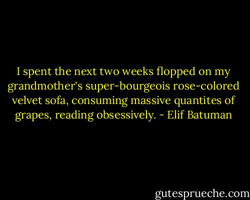 I spent the next two weeks flopped on my grandmother's super-bourgeois rose-colored velvet sofa, consuming massive quantites of grapes, reading obsessively. - Elif Batuman