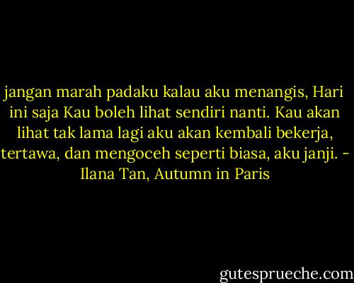 jangan marah padaku kalau aku menangis, Hari ini saja Kau boleh lihat sendiri nanti. Kau akan lihat tak lama lagi aku akan kembali bekerja, tertawa, dan mengoceh seperti biasa, aku janji. - Ilana Tan, Autumn in Paris