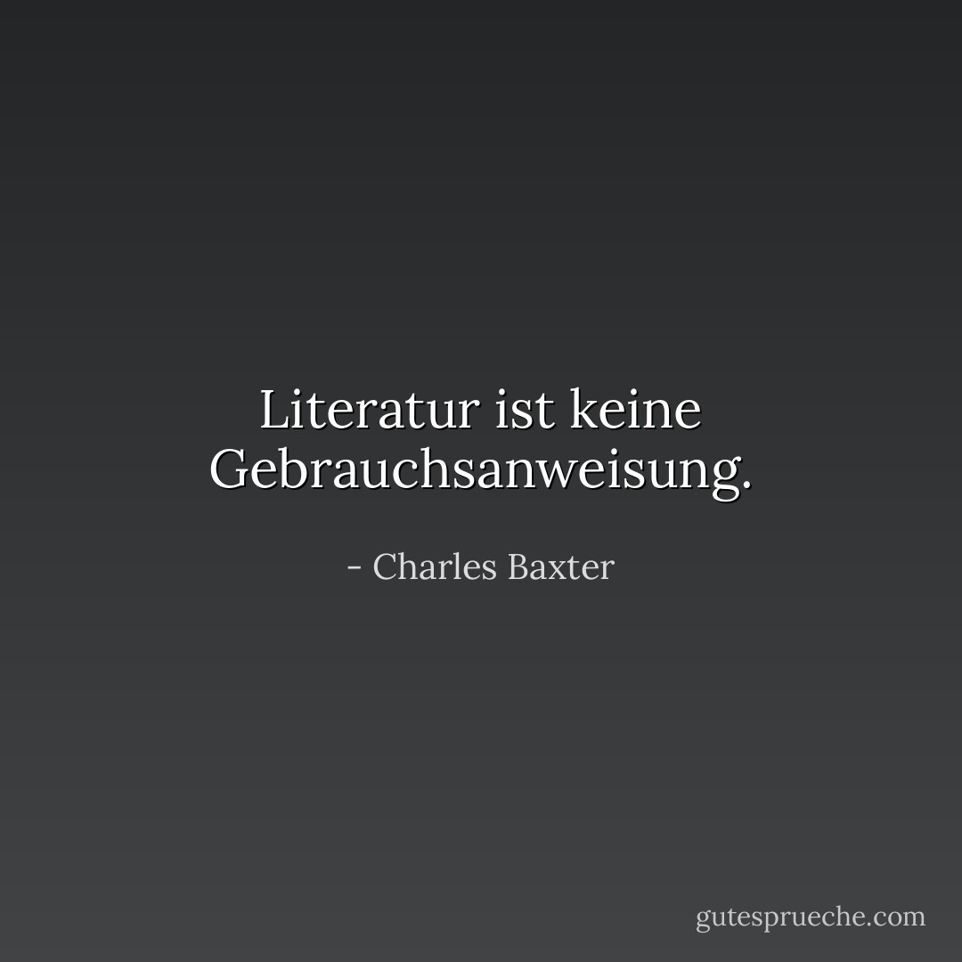 Literatur ist keine Gebrauchsanweisung. - Charles Baxter<