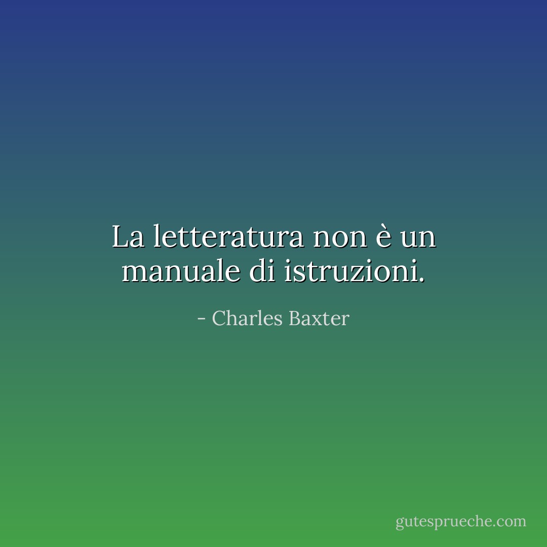 La letteratura non è un manuale di istruzioni. - Charles Baxter