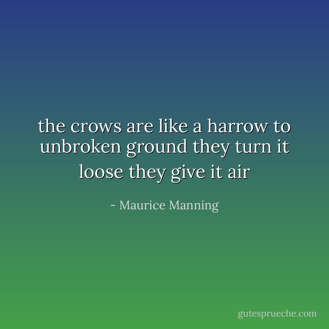 the crows are like a harrow to<br />unbroken ground they turn it loose<br />they give it air - Maurice Manning