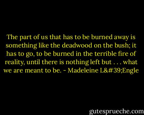 The part of us that has to be burned away is something like the deadwood on the bush; it has to go, to be burned in the terrible fire of reality, until there is nothing left but . . . what we are meant to be. - Madeleine L'Engle