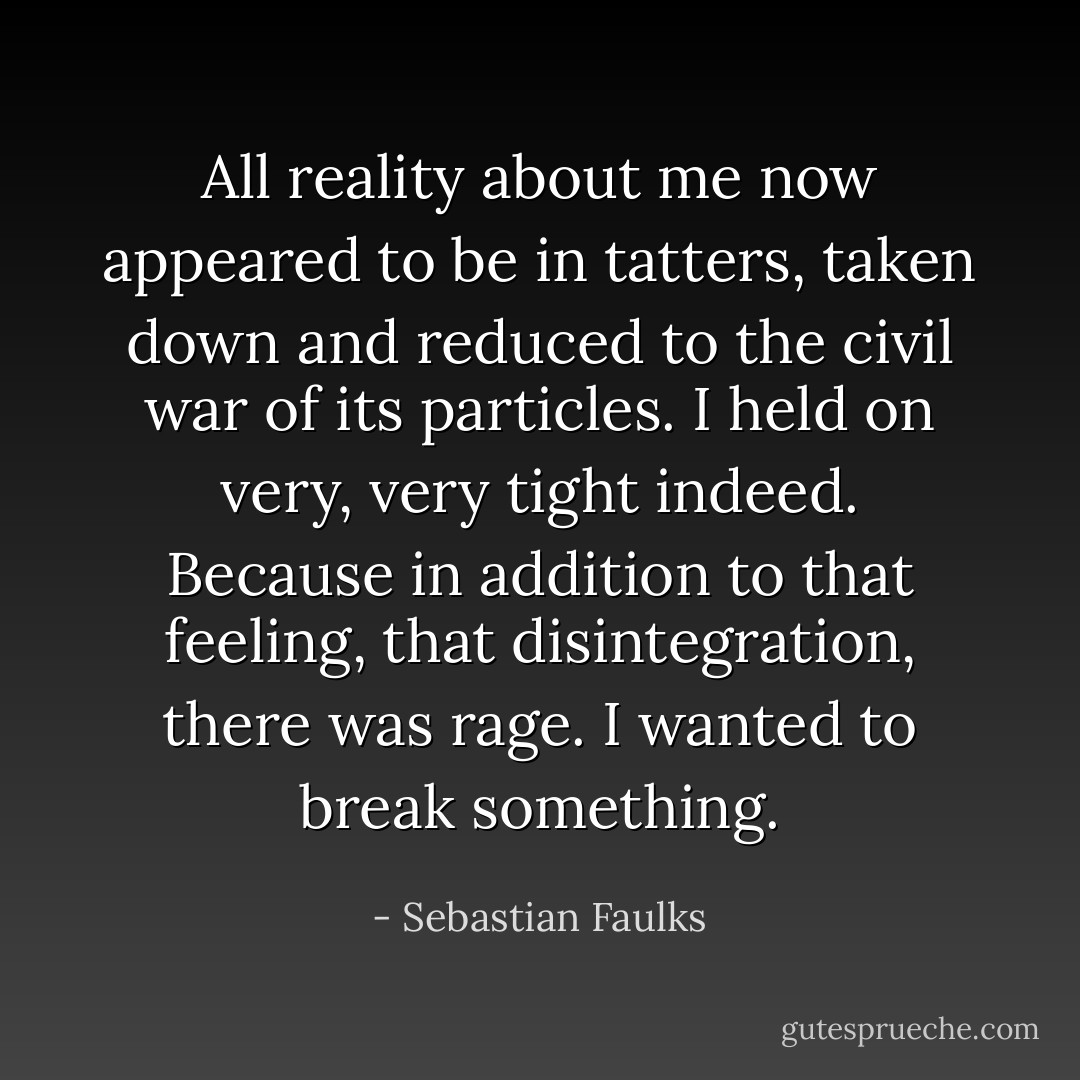 All reality about me now appeared to be in tatters, taken down and reduced to the civil war of its particles. I held on very, very tight indeed. Because in addition to that feeling, that disintegration, there was rage. I wanted to break something. - Sebastian Faulks