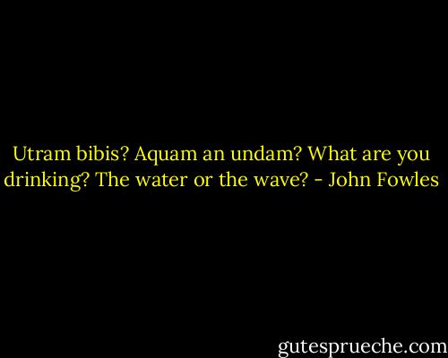 Utram bibis? Aquam an undam?<br />What are you drinking? The water or the wave? - John Fowles